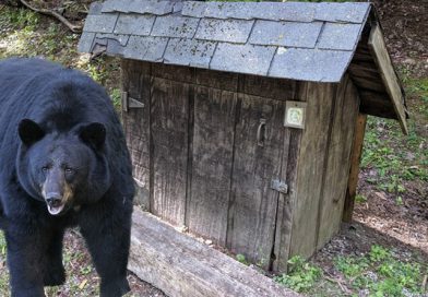 Bear Proof Trash Enclosures in Vermont