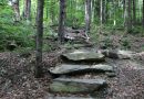 Best Hiking Trails Near Pittsfield Vermont
